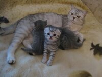 IMG_0645.jpg