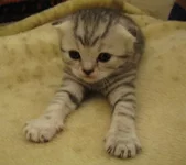 IMG_1497_cr.webp