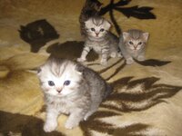IMG_0617.jpg
