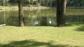 10072011033.jpg