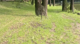 10072011051.jpg