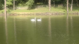 10072011062.jpg