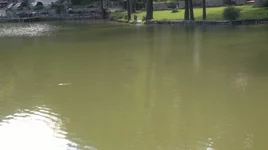 10072011048.jpg