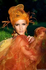 dfe.webp