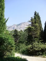 P7030072_1.webp