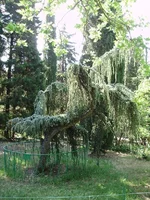 P7030075_1.webp