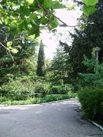P7030076_1.webp