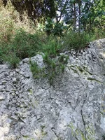 P7030080_1.webp