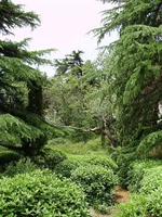 P7030086_1.webp
