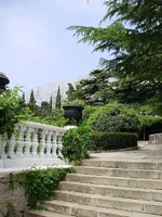 P7030093_1.webp