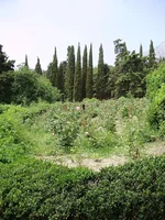 P7030094_1.webp