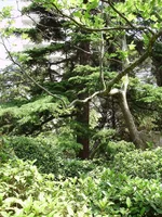 P7030100_1.webp