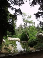 P7030104_1.webp