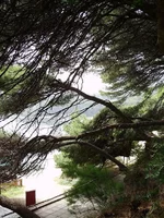 P7030106_1.webp