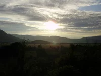 P7060105_1.webp