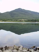 P7060117_1.webp