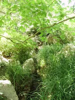 P7070198_1.webp