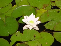 P7070200_1.webp