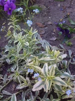 015.webp
