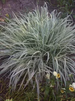 023.webp