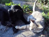 DSC01800.webp