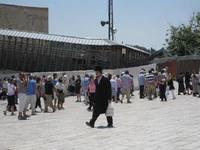 293.webp