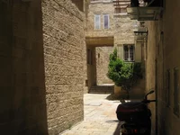 303.webp