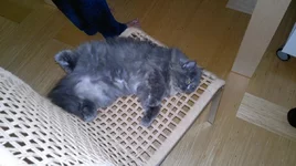 26062011017.webp