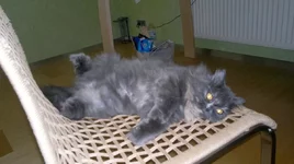 26062011018.jpg