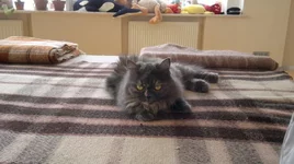 10072011022.webp