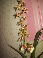 100_0163.jpg