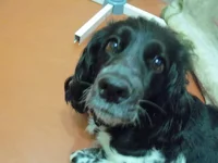 100_1738_новый размер.webp