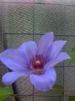 058.webp