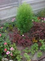 060.webp
