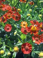 053 (2).webp