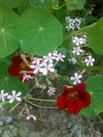 054 (2).webp