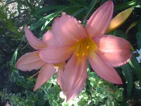 047 (2).webp