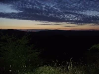 P7060137_1.webp