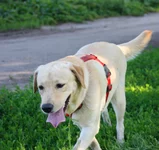 IMG_7085.webp
