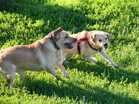  IMG_7004.webp