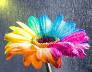 flowers.jpg