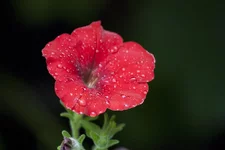 20110703_0115-22.webp