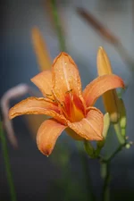 20110710_0119-157.jpg
