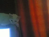 08072011(001).webp
