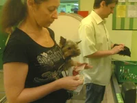 05062011(003).webp