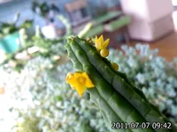 IMG693.jpg