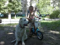 02062011988.webp