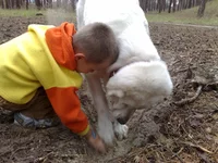 260620111137.webp