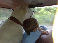 270620111149.webp