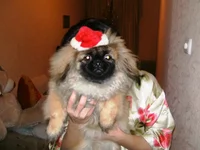  00054.webp